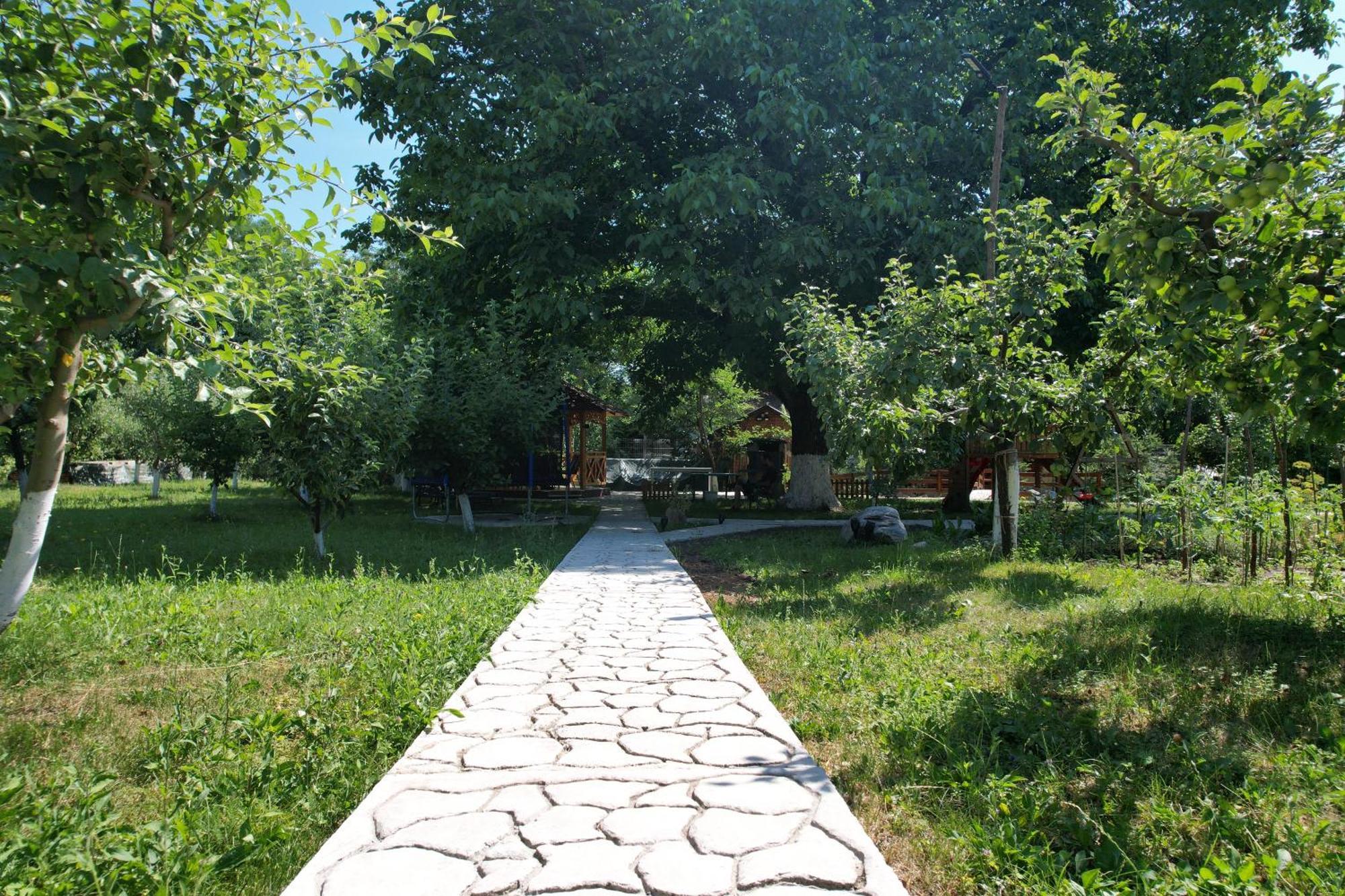 Hotel Casa Stefandra Breaza  Esterno foto